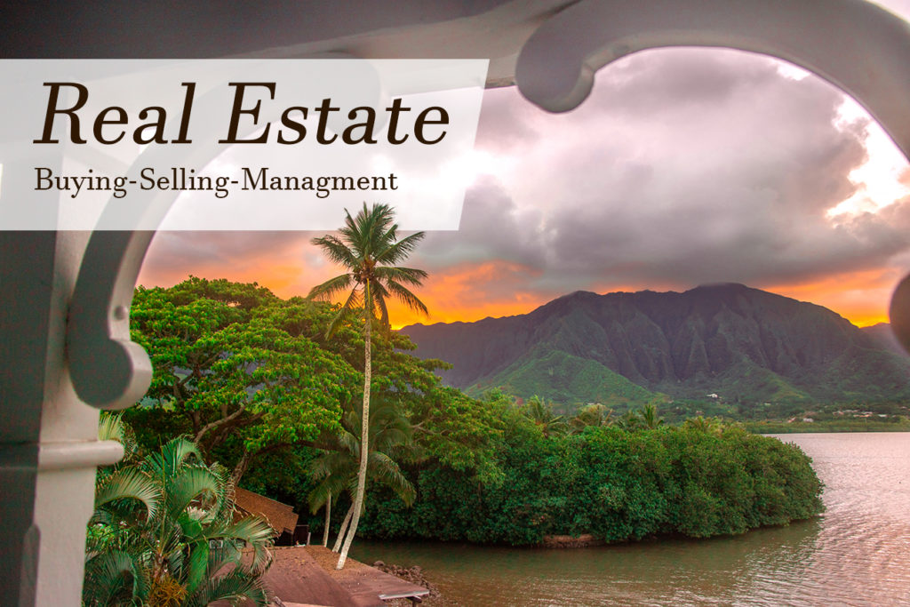 Real Estate Services Life Under The Sun